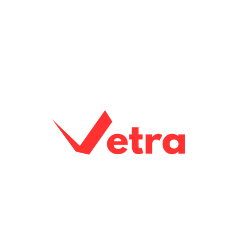 VetraLang project screenshot